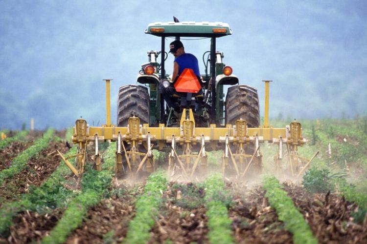 Dorong Minat Petani Muda Mengembangkan Usaha Pertanian